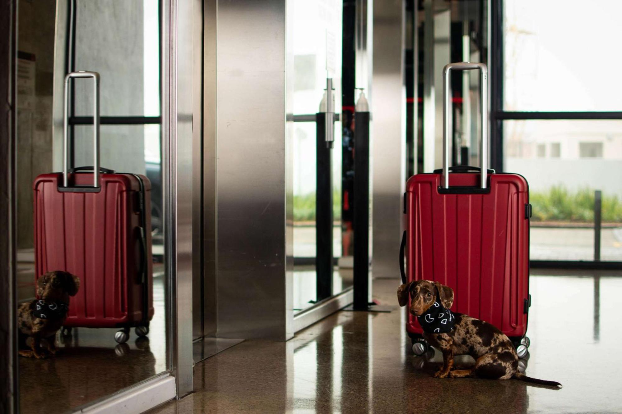 Radisson Red Hotel V&A Waterfront Kapsztad Zewnętrze zdjęcie